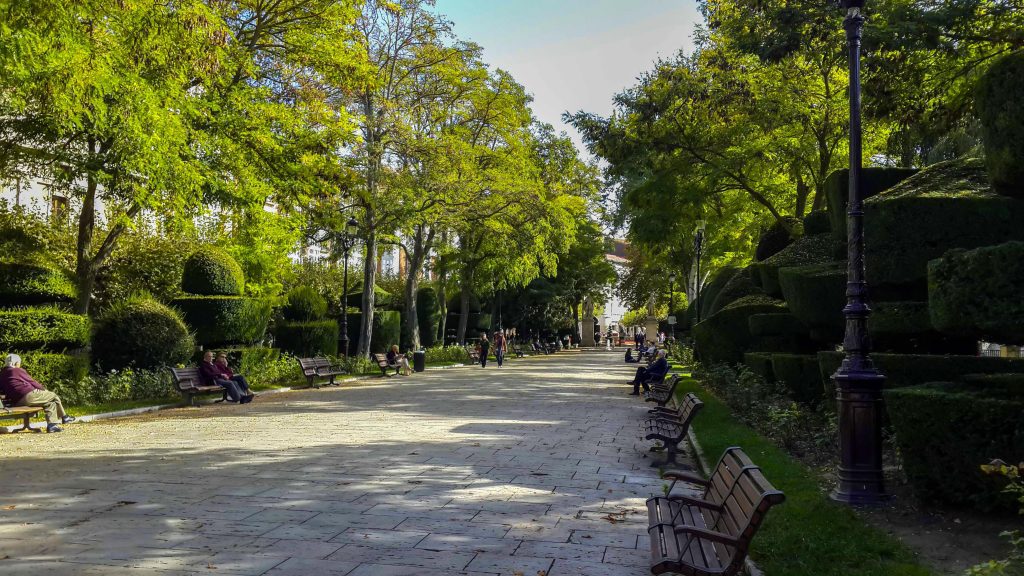 PARQUE BURGOS