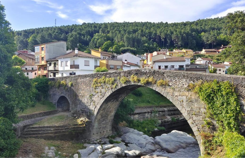 calcetin avila2
